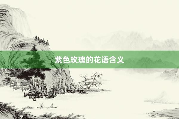 紫色玫瑰的花语含义