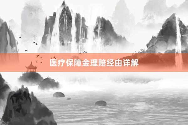 医疗保障金理赔经由详解
