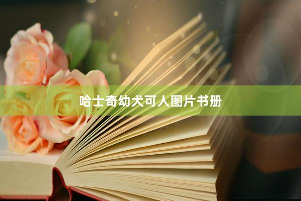 哈士奇幼犬可人图片书册